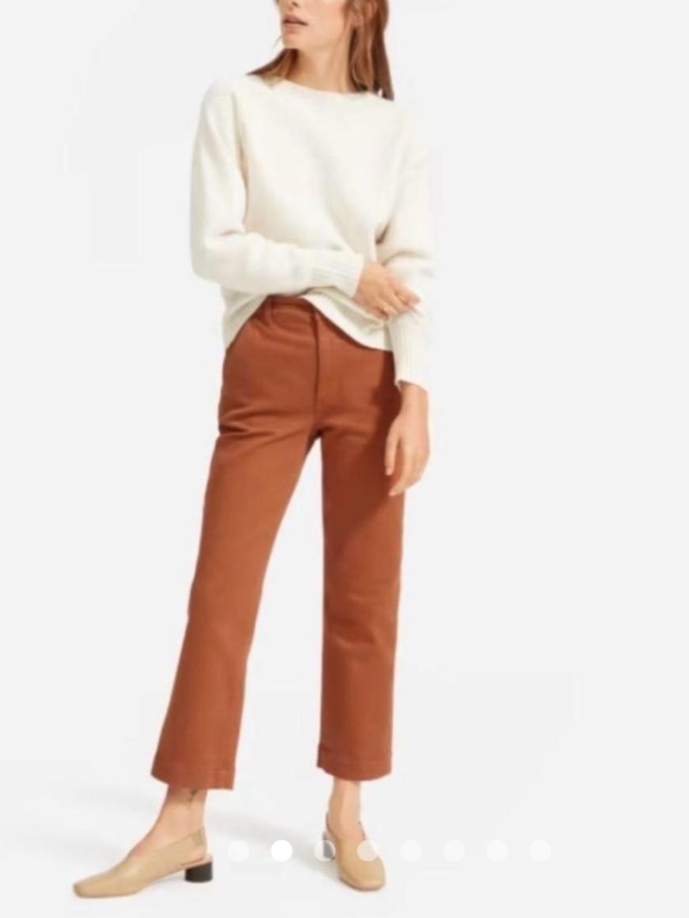 Everlane Straight Leg Cropped Pant in Rust Brown